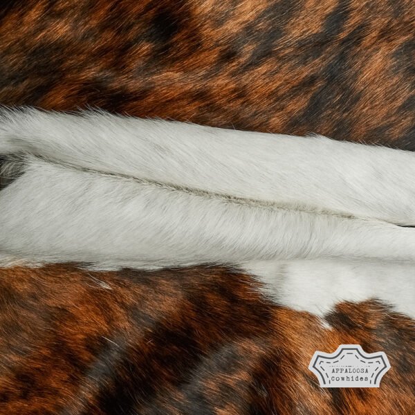 Natural Medium Tricolor Cowhide Rug - Image 9
